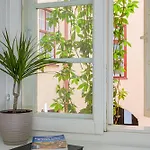 Old Town Silent Garden House تالين
